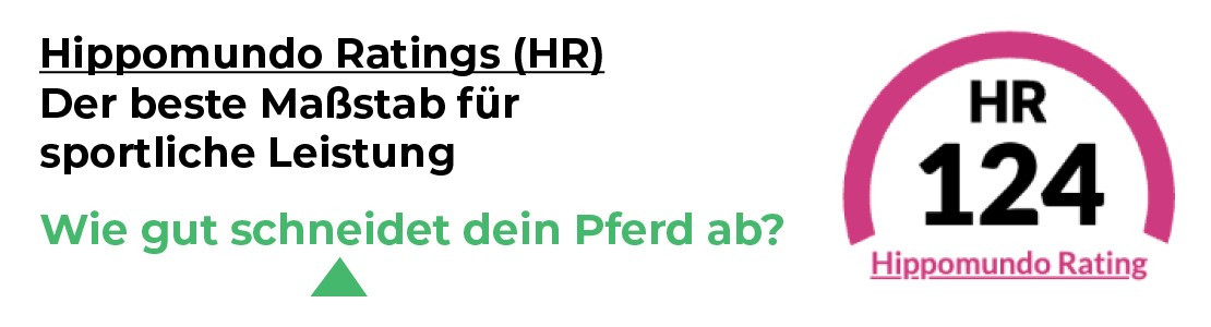 Hippomundo rating