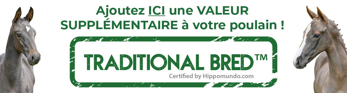 HM TB Banner