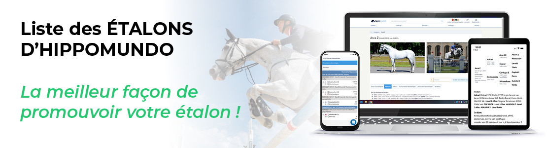 Stallion Index