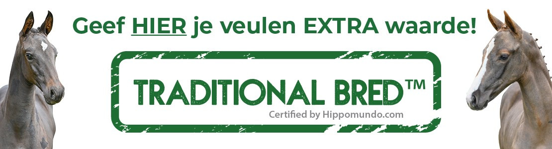 HM TB Banner