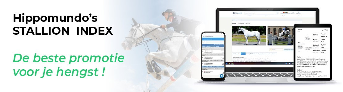Stallion Index