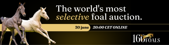 160 Foals