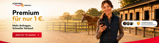 Ehorses
