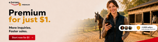 Ehorses