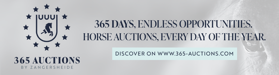 365 Auction