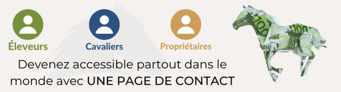 Contactpagina