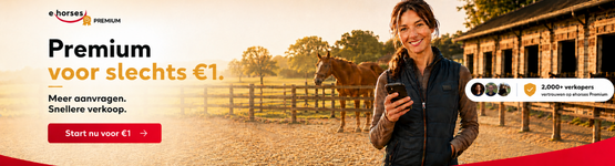Ehorses